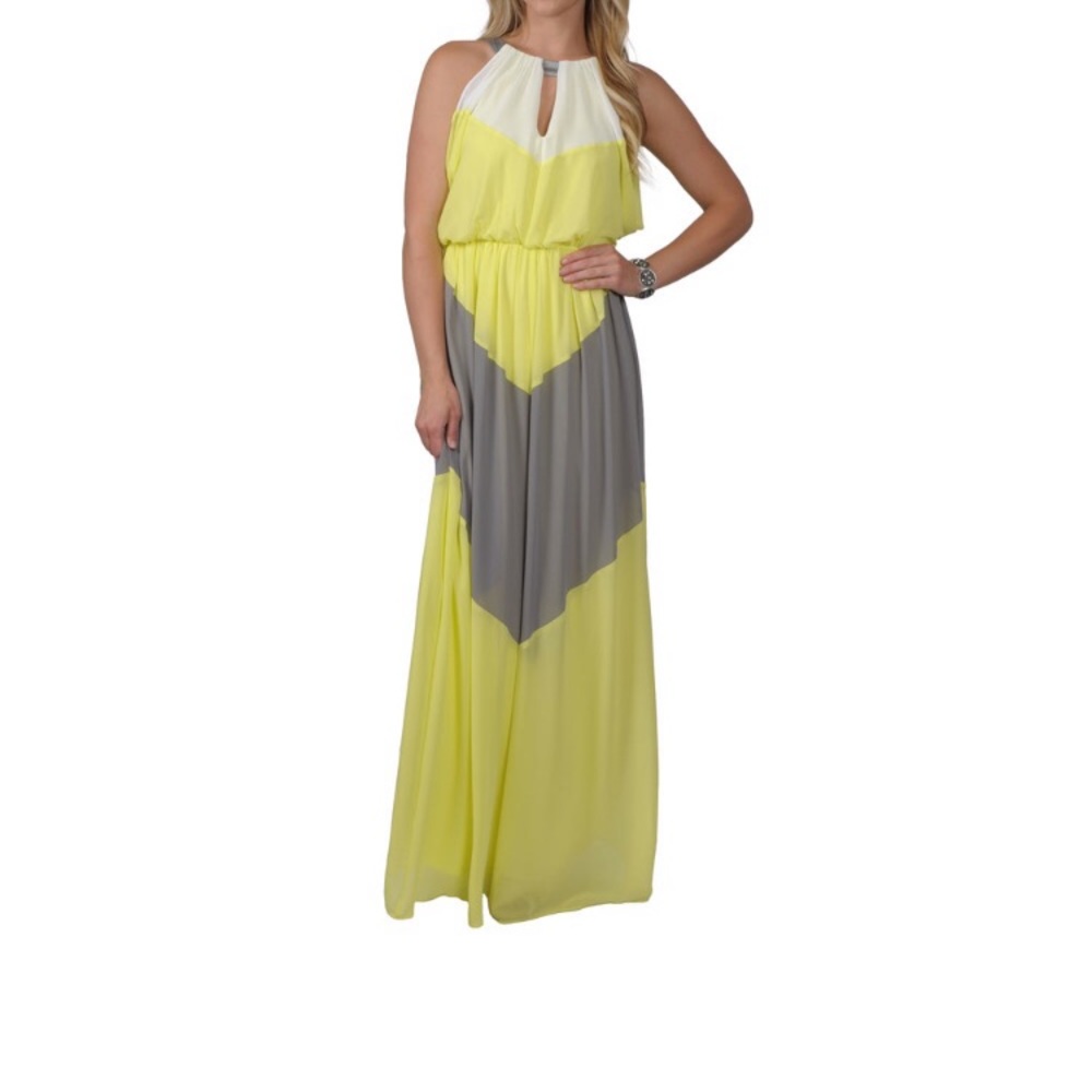 🥂 Vince Camuto Long Dress